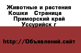 Животные и растения Кошки - Страница 2 . Приморский край,Уссурийск г.